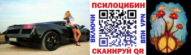 Псилоцибиновые грибы Cubensis  OMG ссылка  Абинск 