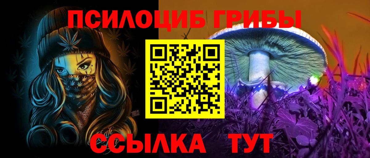 Псилоцибиновые грибы ЛСД Абинск