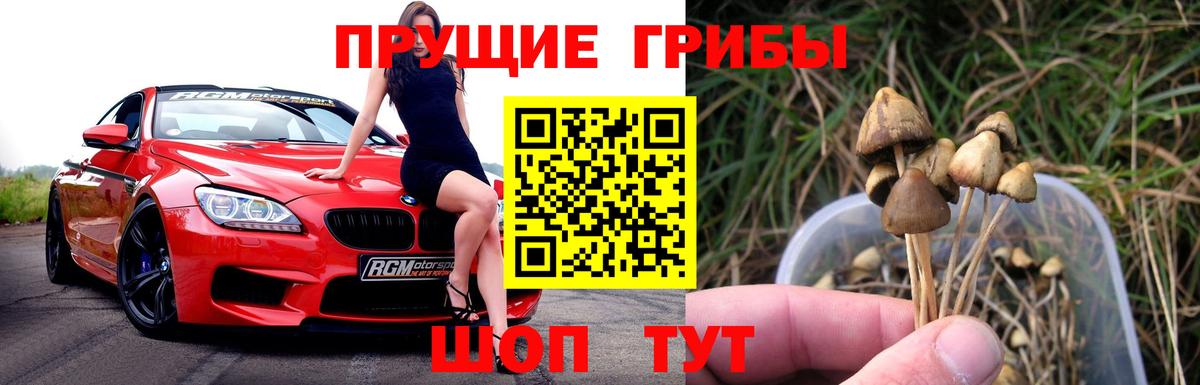 Галлюциногенные грибы MAGIC MUSHROOMS  Вход с VPN  Абинск  Галлюциногенные грибы Psilocybine cubensis 